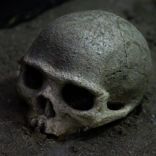 skull anatomy notes pdf