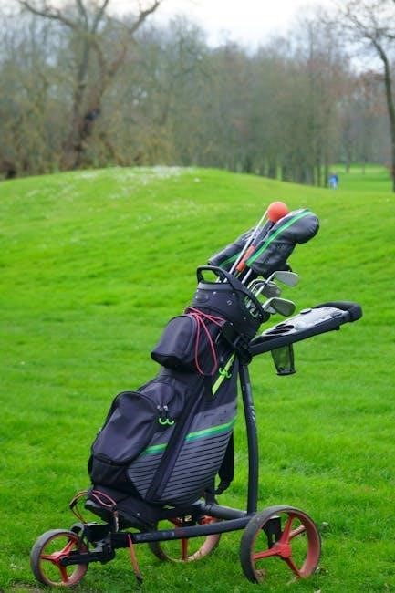 ezgo golf cart manual