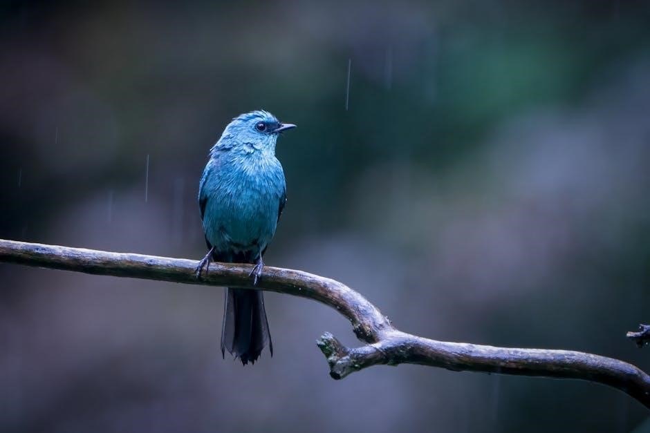 Rain Bird ESP Modular Manual PDF - Easy Installation Guide