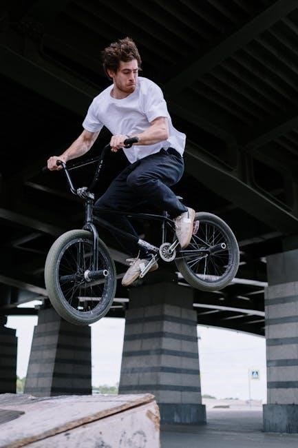 bmx bike frame size guide