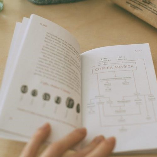 ai study guide maker from pdf