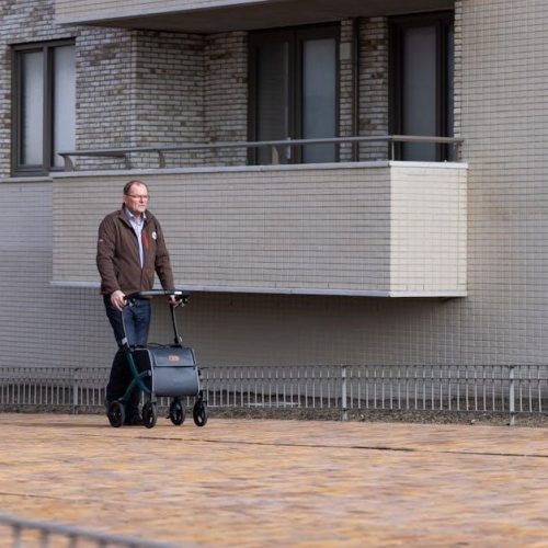 free daily chronicles for seniors pdf