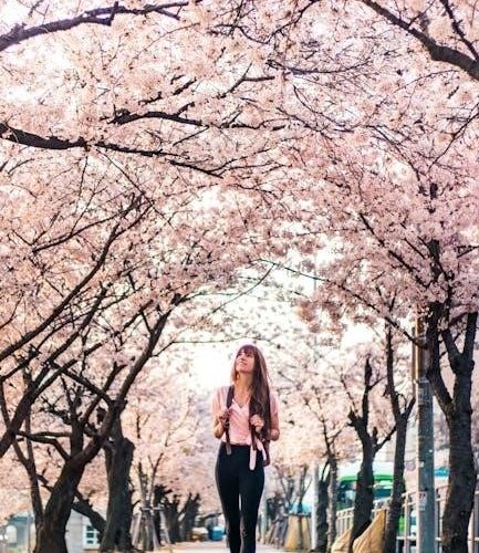 2024 traverse manual